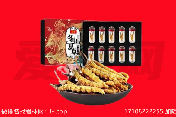 昌都市芒康回收虫草.jpg
